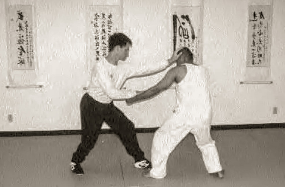 Xingyiquan - En İyi 10 Çin Dövüş Sanatları