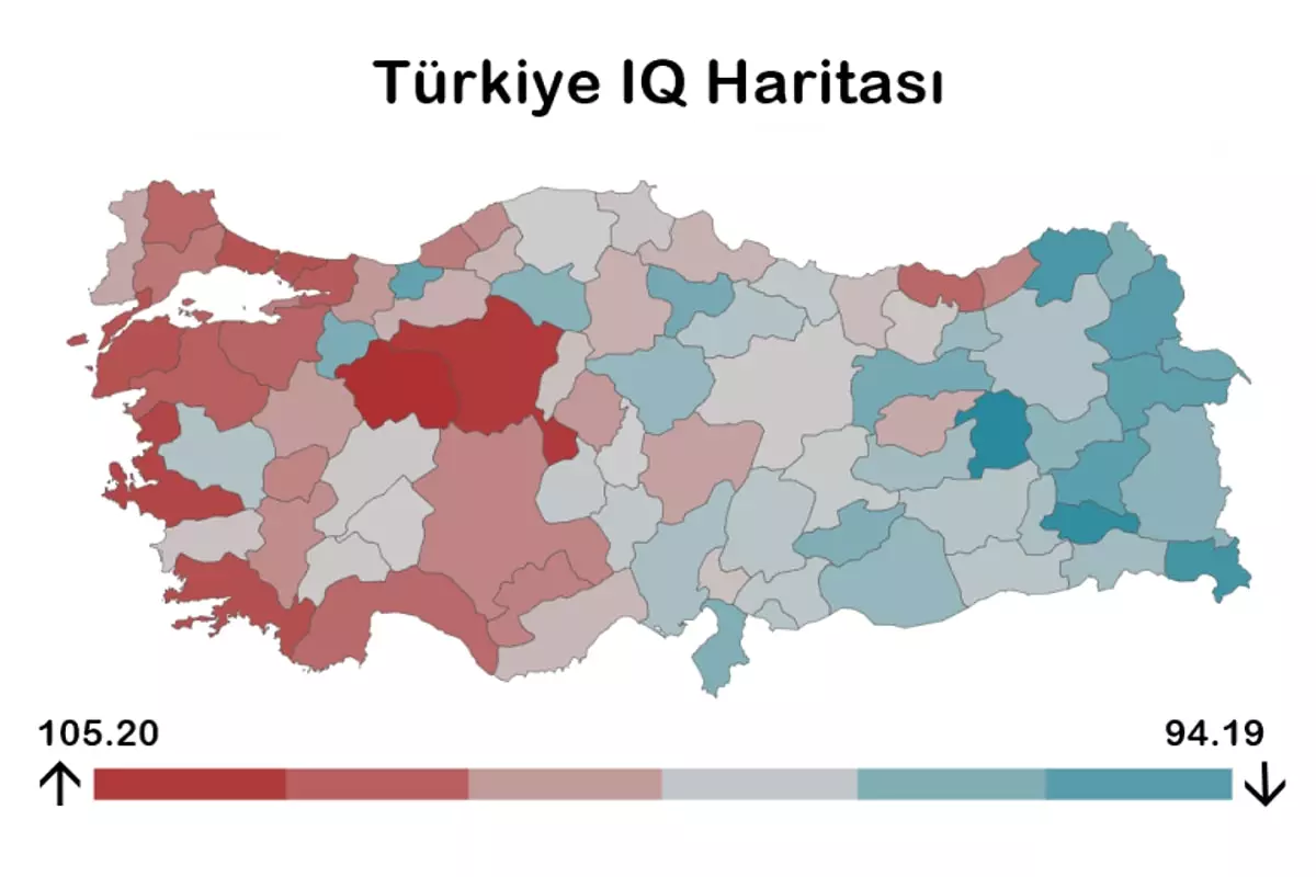 IQ Haritasına Göre Türkiye'nin En Zeki İlleri